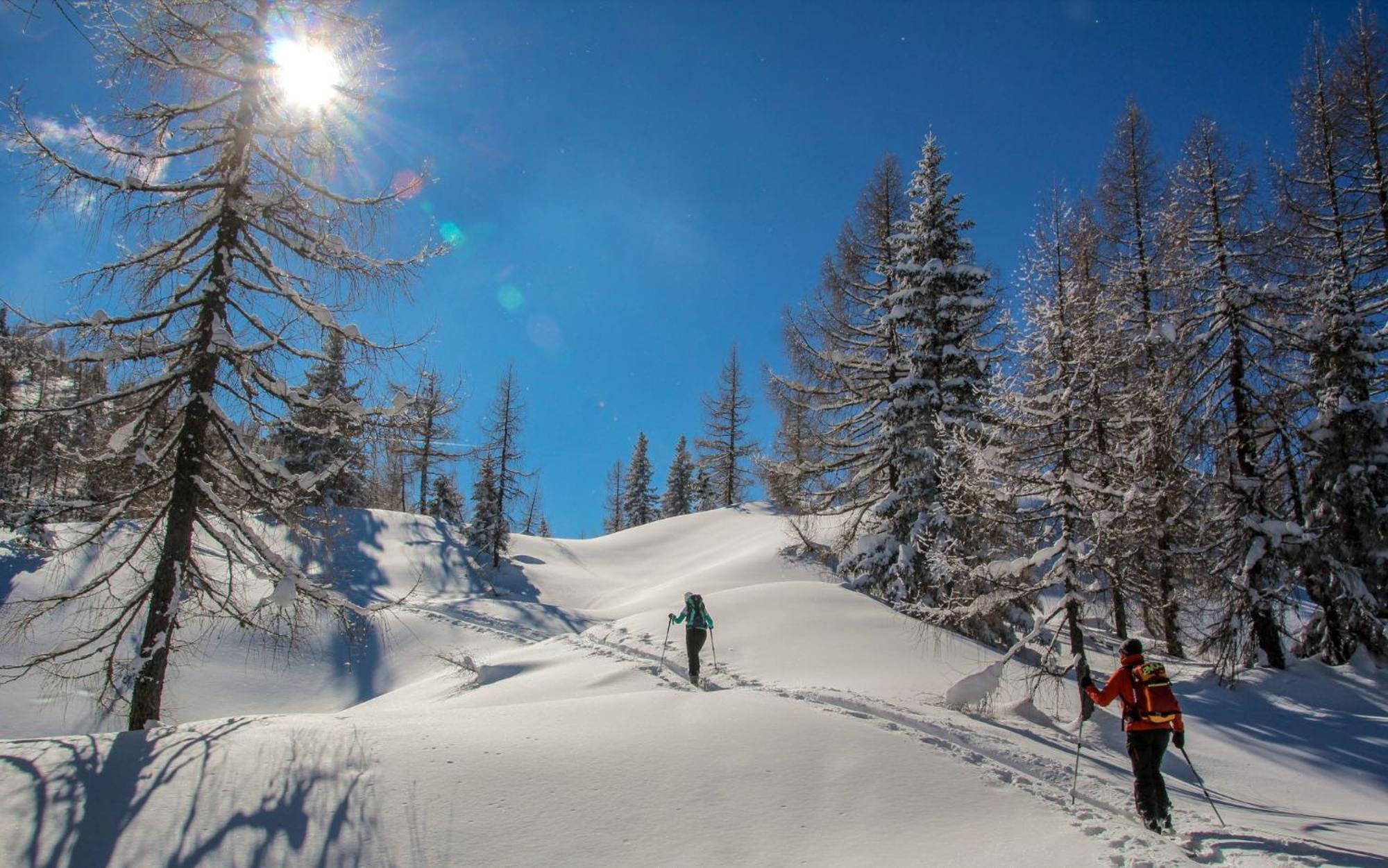 Naturparkresort Geoapartment Gams bei Hieflau Eksteriør billede